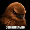 Стикер 25 Птицы мем