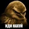 Стикер 47 Птицы мем