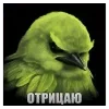 Стикер 19 Птицы мем