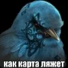 Стикер 49 Птицы мем