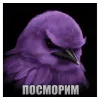 Стикер 7 Птицы мем