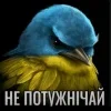 Стикер 59 Птицы мем