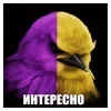 Стикер 14 Птицы мем