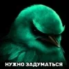Стикер 54 Птицы мем