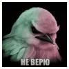 Стикер 22 Птицы мем
