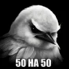 Стикер 29 Птицы мем