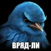 Обложка набора Птицы мем