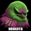 Стикер 39 Птицы мем