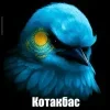 Стикер 55 Птицы мем