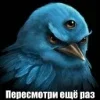 Стикер 18 Птицы мем