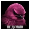Стикер 4 Птицы мем