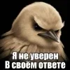 Стикер 51 Птицы мем