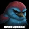 Стикер 46 Птицы мем