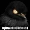 Стикер 40 Птицы мем
