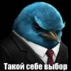Стикер 44 Птицы мем