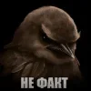 Стикер 21 Птицы мем