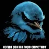 Стикер 26 Птицы мем