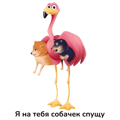 🤨 Стикер «Птичий базар» для Telegram