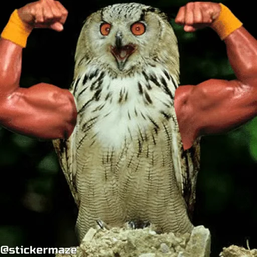 Стикерпак Birds with arms Птицы с руками для Telegram