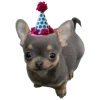 Стикер 41 С днём рождения #birthday