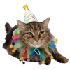Стикер 52 С днём рождения #birthday
