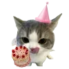 Стикер 11 С днём рождения #birthday