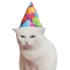 Стикер 13 С днём рождения #birthday