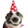 Стикер 18 С днём рождения #birthday
