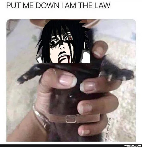 🤠 Стикер «Sasuke Bitch» для Telegram
