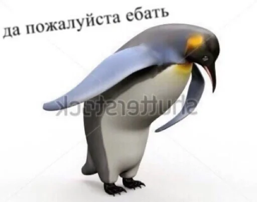🤡 Стикер «сучьи стикеры» для Telegram