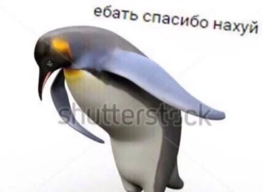 🤡 Стикер «сучьи стикеры» для Telegram