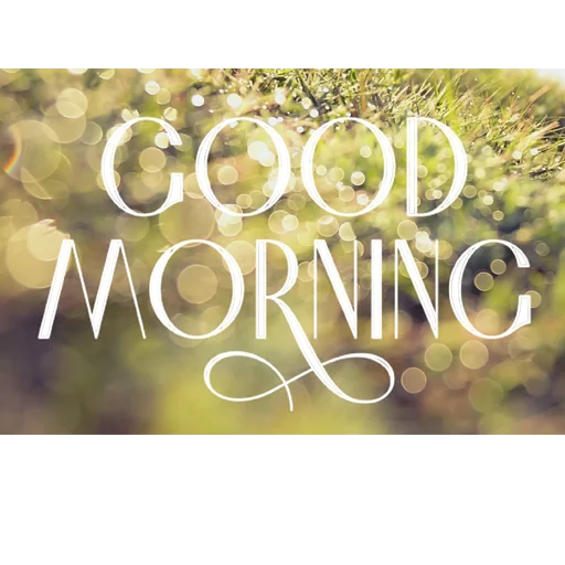 ☀ Стикер «Biznes home» для Telegram