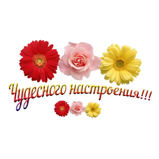 😉 Стикер «Biznes home» для Telegram