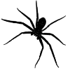 🕷 Эмодзи «黑色的 ?» для Telegram