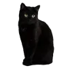 Стикер 5 Black