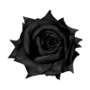 Стикер 3 Black