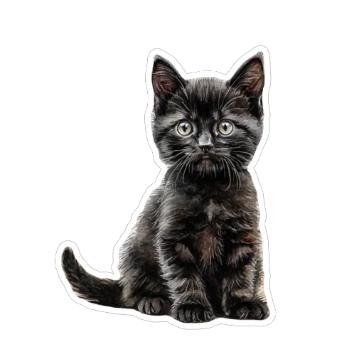 🐱 Стикер «Black» для Telegram