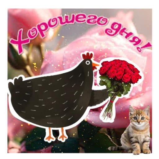 ☀️ Стикер «Черная курица» для Telegram