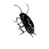 Стикер 12 black #color #black