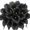 Стикер 12 Blackred
