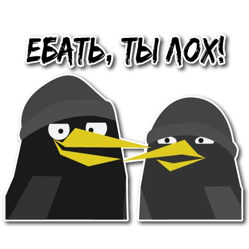 🤠 Стикер «Дрозд Мерл» для Telegram