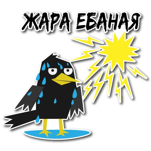 🤯 Стикер «Дрозд Мерл» для Telegram