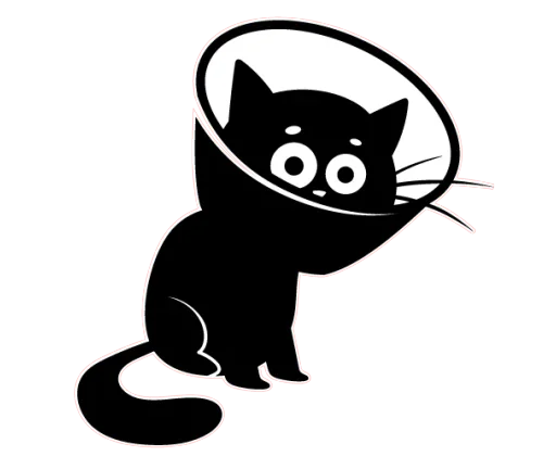 👀 Стикер «Чёрный котик» для Telegram