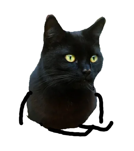 😋 Стикер «Black C» для Telegram