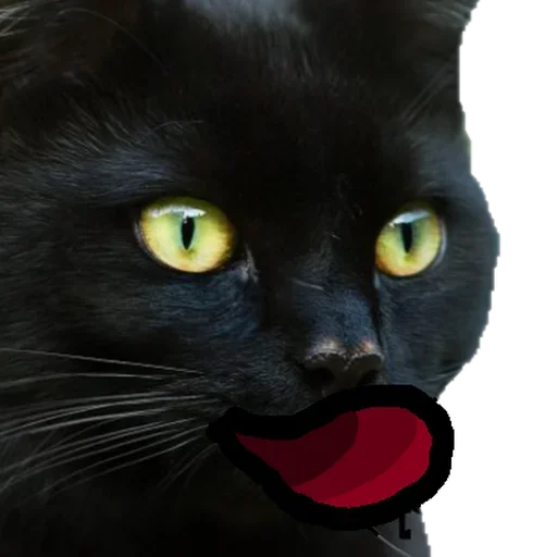 🙃 Стикер «Black C» для Telegram
