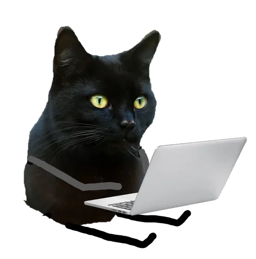 🤪 Стикер «Black C» для Telegram
