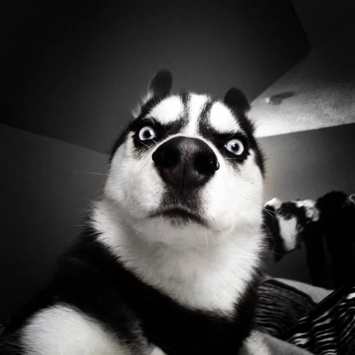 😳 Стикер «Black Metal» для Telegram