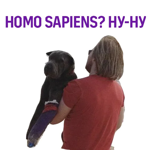 🙊 Стикер «Евгений Черешнев» для Telegram