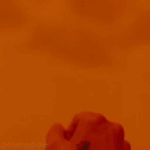 🐞 Стикер «Blade Runner 2049» для Telegram