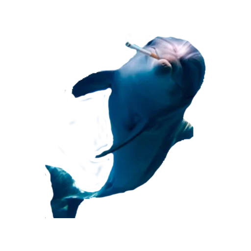 🐬 Стикер «Благодарочка» для Telegram